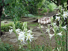 Елла
