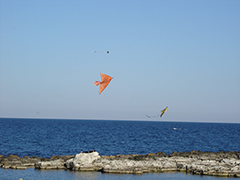 Елла